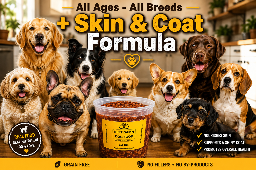 32 oz "All Ages - All Breeds + Skin & Coat Formula"