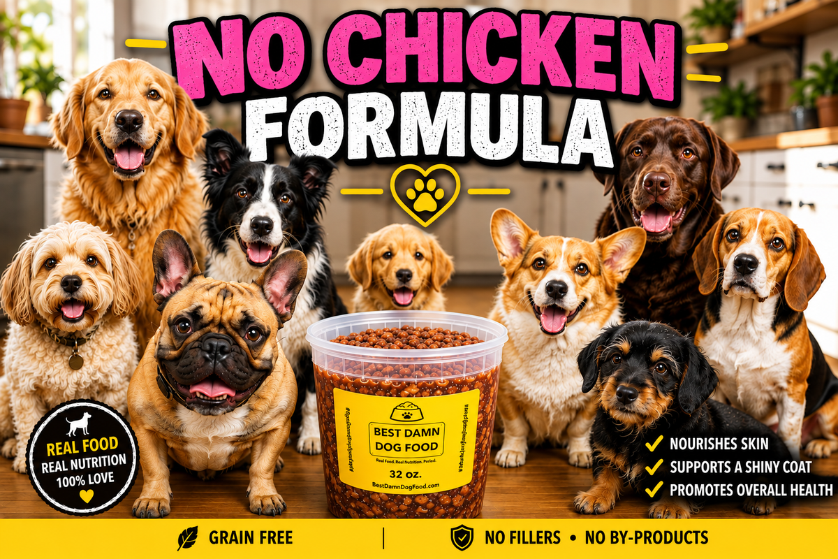 NO CHICKEN FORMULA - 32 oz "All Ages - All Breeds + Skin & Coat Formula"