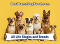 32 oz "All Ages & All Breed Formula"